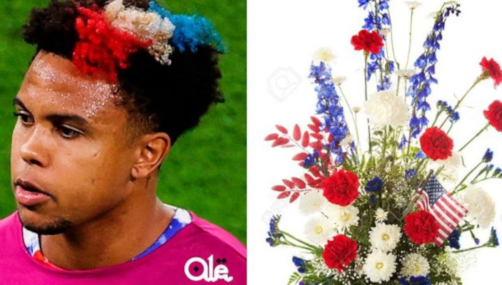 Images: Fans joke about McKennie's hairstyle in USA-Wales - Football Italia